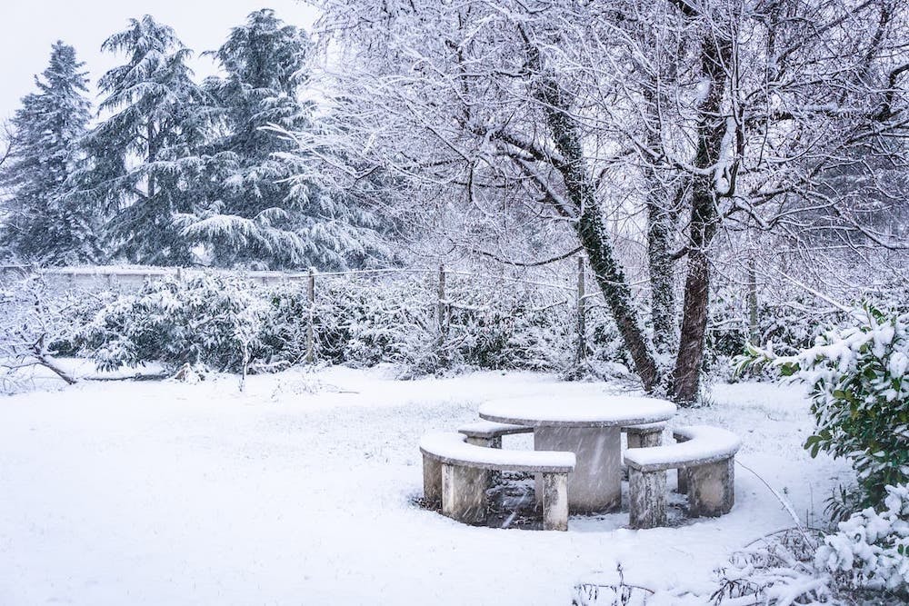 Tips to Prepare Your Garden for Winter